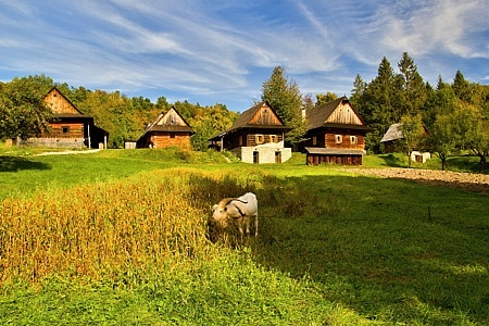 VMP Rožnov pod Radhoštěm