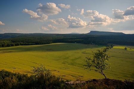 Zirkelstein