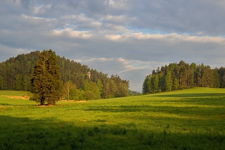 Jetřichovice