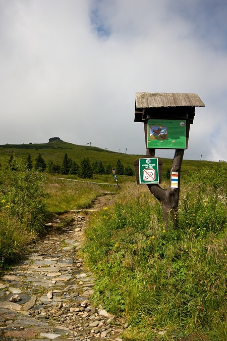 cesta od Ovčárny