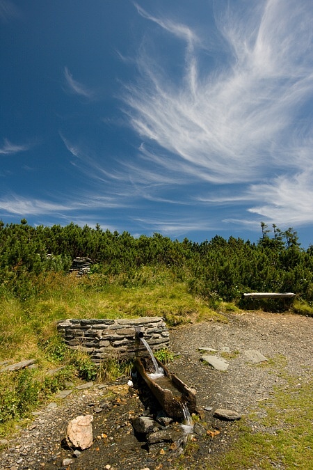 Jelen( studánka