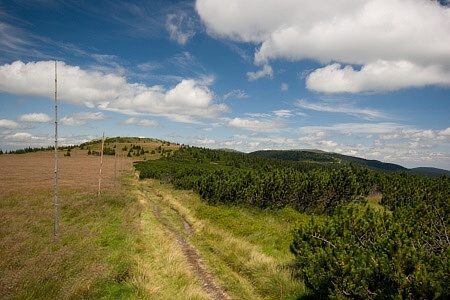 hřeben mezi Jelení studánkou a Pecným