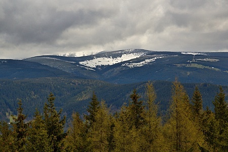 rozhledna Žalý