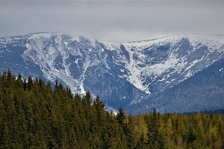 rozhledna Žalý