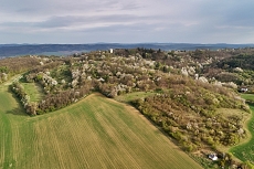 jarní Kuřim