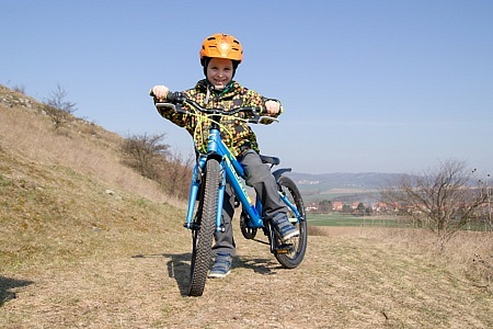 Koniklec velkokvětý na Malhostovické pecce