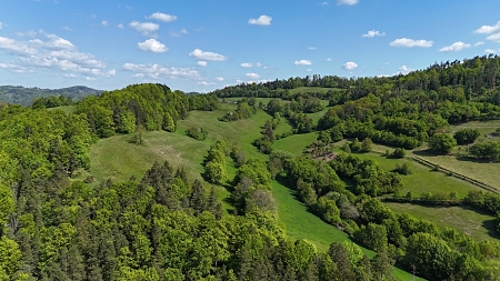 PP Křižník